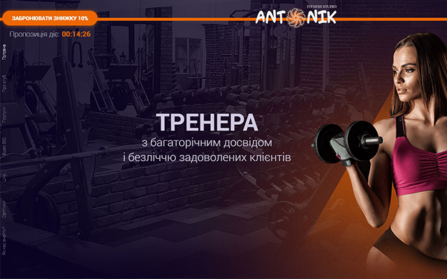 Website development Antonik